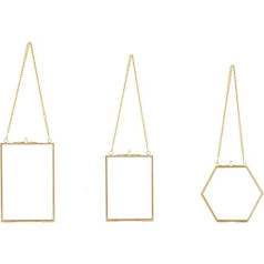 Lrtzizy 3 Packs Pressed Flower Glass Frames - Golden Hanging Glass Picture Frame with Chain Floating DIY Artwork Display Frame