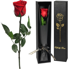Yamonic Infinity Rose Red with Stem Gifts for Women, Real Rose Birthday Gift for Women, Eternal Rose in Gift Box, Preserved Flower for Christmas Mum, Decorative Gift, Gifts for Mum