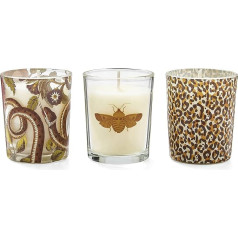 Creatures of Curiosity Votive Candles (Pack of 3)