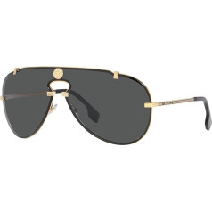 Versace VE 2243 Gold/Dark Grey 43/14/140 Men's Sunglasses