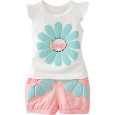 Toddler Girl Clothing Baby Summer Boys Cartoon Outfits T Shirt Tops Shorts Clothes Set Kids Matching Party Outfits A-285
