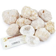 Fossil Gift Shop Geoden zum Aufbrechen, für Geburtstagsparty-Tüten, Informationskarte in englischer Sprache