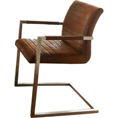 Delife Earnest Vintage Cantilever Kitchen Chair