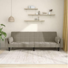ZEYUAN Schlafsofa 2-Sitzer mit 2 Kissen Hellgrau Samt, Loungesofa, Sofas & Couches, Relaxsofa, Couch für Wohnzimmer, Couch Mit Schlaffunktion - 375847