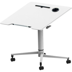 ROLTIN Klappbarer Sofa-Nachttisch, Couchtisch, Tabletts für Snacks, verstaubarer Laptop-Schreibtisch, tragbares Bett-Esstablett – höhenverstellbarer TV-Tisch mit Getränkehalter (Gr