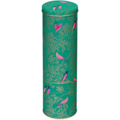 Sara Miller SM2863 Spaghetti Box, Green