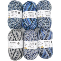 Ferner Wolle Lungauer Merino Sock Wool Pack 4-Ply C*23 | 6 x 100 g Sustainable Sock Yarn Pattern Forming | Stocking Wool for Knitting or Crocheting