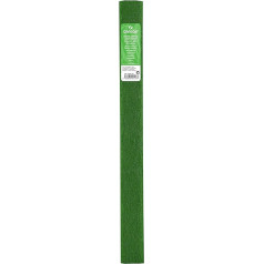 Canson Pack of 10 Rolls Crepe Paper, 32 g/m² 50 x 250 cm 50 x 250 cm Vert fougère