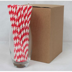 500 x Striped Paper Straws, 6 x 200 mm, FSC Certified, Food Grade, PFAS-Free, Biodegradable, Eco-Friendly, Durable, Suitable for All Occasions