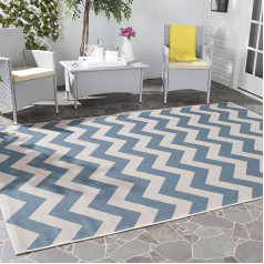 Safavieh Chevron Stripe Carpet for Indoor and Outdoor Use, CY6244