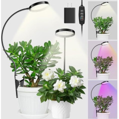 YUYMIKA 48 LED Clamp Plant Lamp, Grow Light, 6000 K Indoor Plant Light with 3/9/12H Timer, 10 Brightness Levels, 3 Light Modes, Full Spectrum Plant Light for Indoor Plants (2 Pieces)