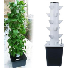 RAABYU Hydroponics System for 30 Garden Plants Air Cultivation System for Herbs, Fruits and Vegetables with Moisture Pump, Adapter, Networking Pot