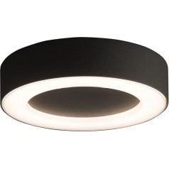 Licht-Erlebnisse LED Ceiling Light Outdoor Grey Dark Aluminium 3000 K 538 lm IP54 Weatherproof Outdoor Lighting Ceiling Light