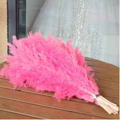 Pack of 12 Dried Pampas Grass Bohemian Decoration, 43 cm, Fluffy Dried Pampas Flowers, Table Decorations, Bouquets, Floral Arrangements, Banquets, (Pink)