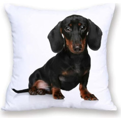 The Beach Stop Decorative Cushion Cover for Dogs Puppies Animal Lovers Women Men and Pets 18x18 18x18 Sitting Dachshund Puppy