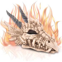 Dragon's Treasure Money Box - Dragon Skull Money Box - 11 x 9 x 19 cm - Figure Decoration Fantasy