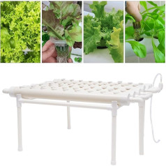 1-Schicht 54 Loch Erdloses Hydroponik Vegetable Hydroponic Growing System Grow Sites Hydrokultur Hydroponische Bodenloses GemüSe Pflanze Rohr Erdlose Pflanzenanbau Systeme FüR Hause Büro PVC