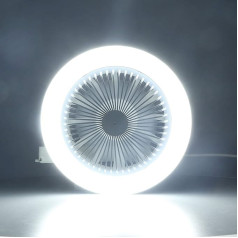 Silent Ceiling Fan, LED Ceiling Light with Fan, Small, E27, 30 W, Silent, Adjustable LED Fan Lamp, Small Electric Fan Lamp, Modern Fan Lighting for
