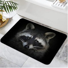 Zomer Bath Mat Non-Slip 40 x 60 cm Bathroom Rug Microfibre Bath Mat Quick-Drying Bath Mats for Bath Shower Home Bathroom with Raccoon