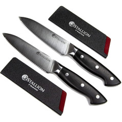 Stallion Professional Knife Two Steak Knives 12.5 cm - Blades made from German 1.4116 Knife Steel and G10 GFK Handles