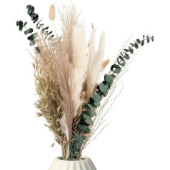 Mia Milano Dried Flower Bouquet with Pampas Grass and Eucalyptus, Round Tied