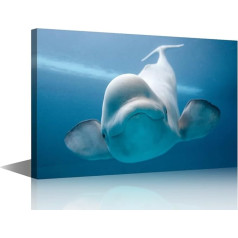 TISHIRON Beluga Whales Wall Art, Alaska White Whale, Pictures on Canvas, 1 Piece Modern Artwork, Wall Art for Living Room, Office, Gallery, Wrapped Posters and Prints, Framed, Ready to Use