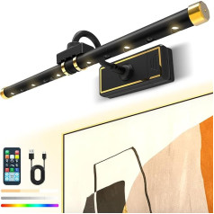 Laliled Wireless Picture Light with Remote Control, LED Picture Lamp, Picture Lighting, Rechargeable Dart Lighting, Dimmable Wall Light, RGB Magnetic Dart Lamp for Painting, Photos, Portraits