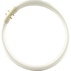 FC40w/T5 - T5 Circular Tube 40W - Colour Cool White -840 - GX13 Cap