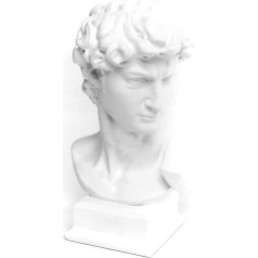 Rocking Gifts Decorative Bust Casting Roman David Classic Antique Polyresin White Elegant 30cm