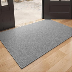 COLOR GEOMETRY Indoor Doormat, 61 x 92 cm, Rugs for Entryway, Doormat for Indoor, Non-Slip, Washable, Flat Interior Door Mat, Entrance Mat, Light Grey