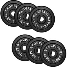 Bad Company Cast Iron Weight Plates, Weight Plates 30/31 mm for Weight Training, 15 kg (6 x 2.5 kg)