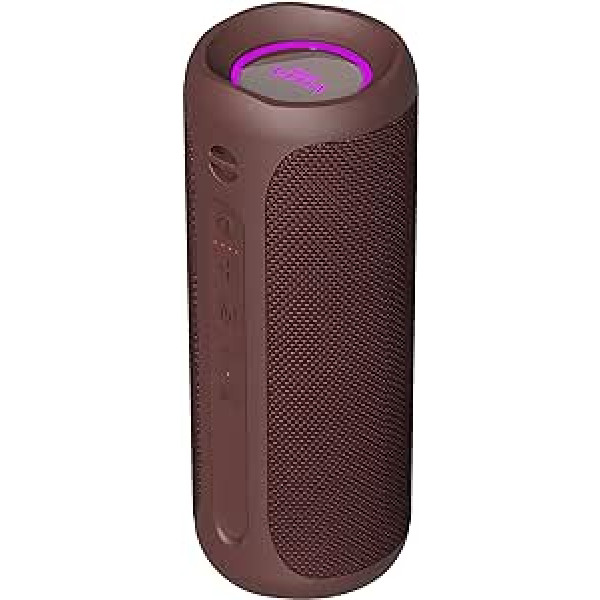 Vieta Pro Goody 2 Speakers, with Bluetooth 5.0, True Wireless, Microphone, Radio FM, 12 Hours Battery Life, IPX7 Waterproof, AUX Input, Direct Button to Virtual Assistant, Bordeaux