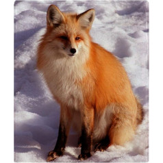 YISUMEI Blanket Red Fox Cuddly Blankets Soft Flannel Fleece Blanket Bed Throw (75 x 100 cm)