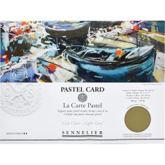 Sennelier La Carte Pochette 40 x 27.9 cm Plain Pastel Card, Light Grey