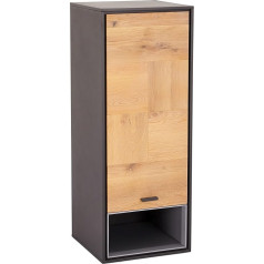 Ibbe Design Sentosa Wall Shelf Wall Cabinet Shelf Solid Oak Wood Grey Varnished MDF Sentosa with Door 42 x 40 x 108 cm