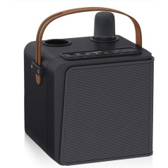 Lanlelin Home Karaoke Machine, Portable BT Karaoke Machine, Stereo Sound, Superior Sound Quality, Dynamic Sound, KTV Function for Home Party