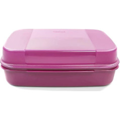Tupperware Apollo Sweet Kitten 2.5 L Blackberry Bellevue Storage Storage