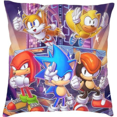 The Beach Stop Sonic the Hedgehog Decorative Cushion Cover Unique Decoration for Boys and Girls Gift Idea 45x45cm Sonic & Friends