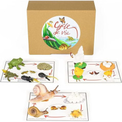 PACHA ECHECS® Life Cycle Game for Animals - Montessori Learning Material for Development | Learning Tool | Realistic Figures | Growth Simulation | Anatomy | Biology