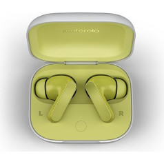 Motorola Moto Buds (Bluetooth 5.3 Earbuds, Hi-Res Sound, Dolby Atmos, Active Noise Cancellation, Wireless Charging, Up to 42 Hours Battery Life, 3-Way Microphone System) Kiwi Green