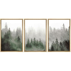 SIGNFORD Forest Pictures, Landscape Pictures, Nature Pictures, Living Room Pictures, Black Forest Pictures, Pictures with Frame, Landscape Pictures with Frame, Framed Pictures Nature - 41 x 61 cm x 3