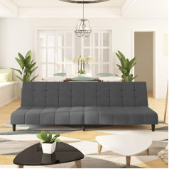 Lapooh 375764 Sofa Bed 2-Seater Dark Grey Velvet Lounge Sofa, Sofas & Couches, Relax Sofa, Couch for Living Room, Couch with Sleep Function