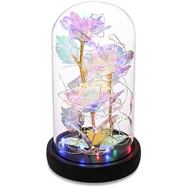 Dream Of Flowers Beauty and the Beast Rose, Forever Stored in a Glass Dome, Eternal Rose, Unique Gift for Women, Christmas, Valentine's Day, Mother's Day, Anniversary (Colourful)