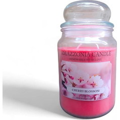 Amazzonia Candle Cherry Blossom 530g Natural Soy Wax Candle Double Wick Cherry Home Decorative Jar Yankee Village Scents