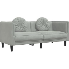 Vidaxl Sofa, Polstersofa mit Kissen 2-Sitzer, Zweisitzer Loungesofa Designsofa für Wohnzimmer, Couch Wohnzimmersofa, Modern, Hellgrau Samt