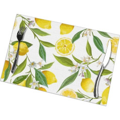 Bangha Tischset Set von 6 Früchten Zitrone Blumenmuster Tischsets für Esstisch Place Matte in Küchenzubehör Tasse Weinmatte Tischset Abwischbar (Color : White6, Size : 12X18inch)
