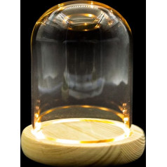 DuvinDD Glass Dome Bell with LED Light Base, Countertop Bell, Transparent Small Display Case Decoration, 4.3