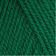 5 x 100 g Stylecraft Special DK Double Knit Wool, Yarn Pack of 5. 5 x 100g Green 1116