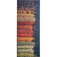 wunderlin Runner, Hallway Rug, Kitchen Collection, Washable Modern Design, Use for Rug Runners, Non-Slip and Kitchen Runner, Useful Kitchen Rug (Spices, 60 x 150)