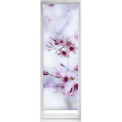 Blindecor Easy Blackout Roller Blind, No Drilling Required, Digital Print, Blackout Roller Blind, 50 x 150 cm (Width x Height), Fabric Size 47 x 145 cm, Thermal Roller Blind